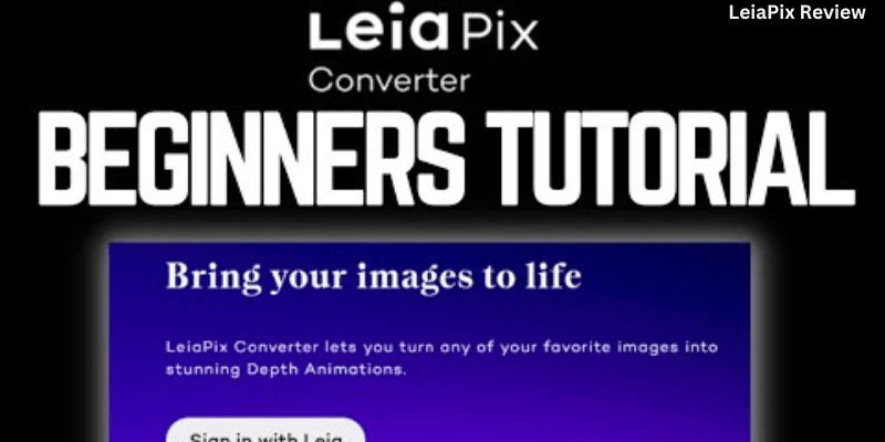 LeiaPix Review:Gear and Review